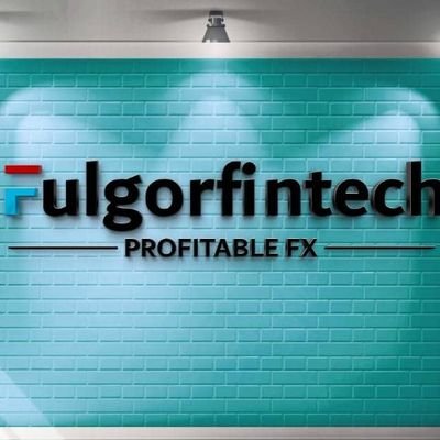 fulgorfintech's profile picture. We are a Technologically driven company with investment opportunities in the financial market & Digital marketing space