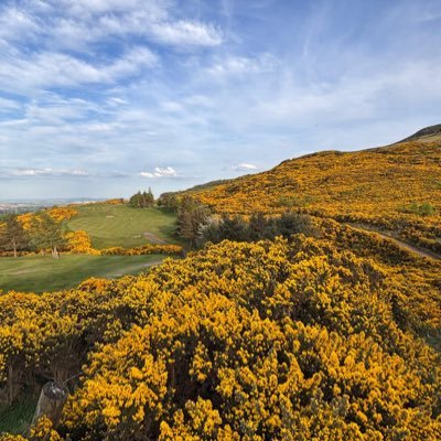 🏴Swanston Golf 🏴 Profile