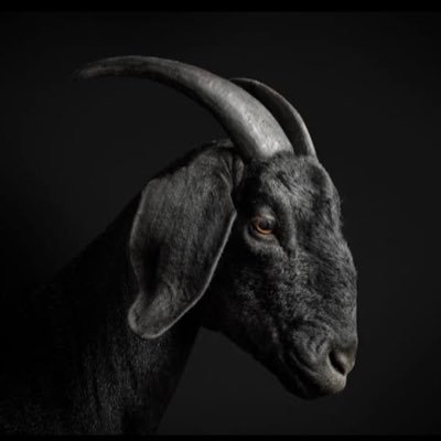 dewu_miii's profile picture. 