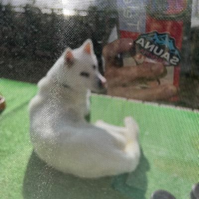 Gosefumi8neQ's profile picture. 🍁 【#IDLMs】【#サウナ】【#grampus】