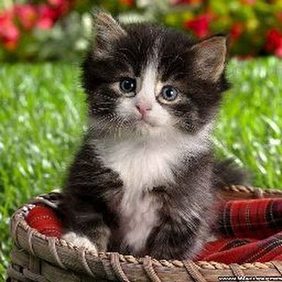 VShift226924's profile picture. 