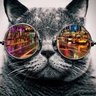 BrasJoao1's profile picture.