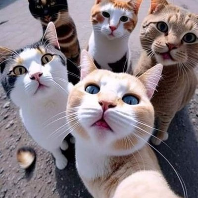 eatenhavu89811's profile picture. (💙,李)pochemu u oguzka net pesen(💙,李)