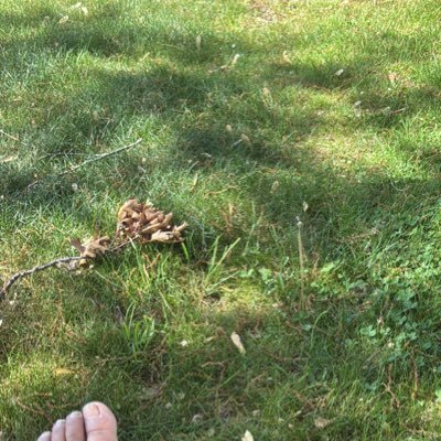 CarmenU382560's profile picture. 