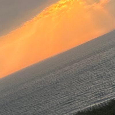 momo1556477's profile picture. 