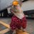 Dawg avatar