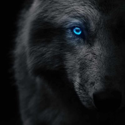 waynekta's profile picture. 