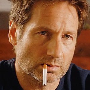 exploring the lives of hank moody and friends. 😎 ☀️ — main: @gestureland