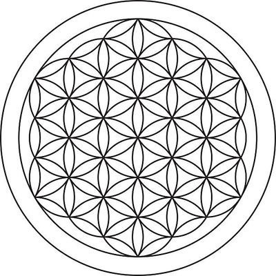 Polychronakis1x's profile picture. 