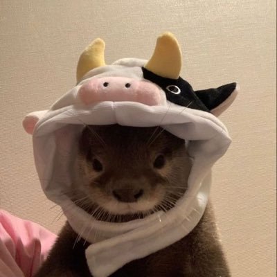 acervolontrinha's profile picture. fish in the pool 🦦: @dietc0cke