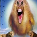 Thug - @JamesBragg85949 - Twitter