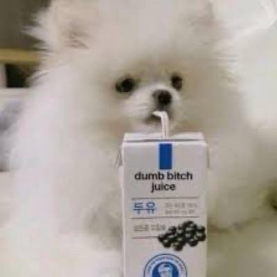 E4every1_42's profile picture. An idiot who probably shouldn't have been given access to the internet; professional screw-up.