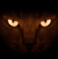 حساب شخصي أطرح مواضيع وأشياء ثانيه.
حسابي الإحتياطي @iAxM502