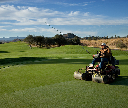 telaviper's profile picture. Search & Rescue incident manager, Golf course Irrigation Tech,Ham radio operator,Tech watcher, Father, Husband