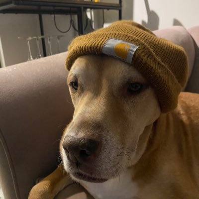 jbrs119's profile picture. 