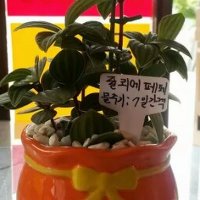 미냉 (@minnheey) 's Twitter Profile