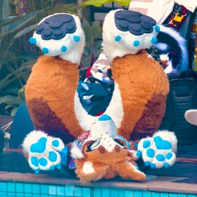 🇸🇪 in 🇦🇺 She/Her 🧡 SFW (suggestive)🌻 Fitness 💪 3D Grad 🎬 Dentistry 🦷 Single 🍩 🔜 NFC’26 🇸🇪