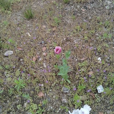 highlightaaa's profile picture. 