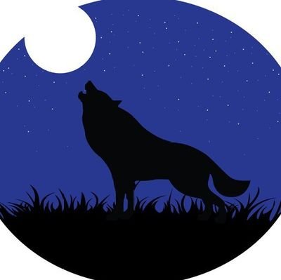 @1681wolfman