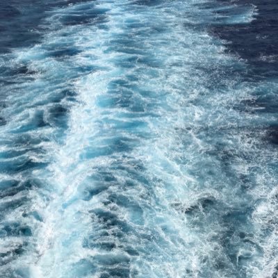 Veteran Cruising @thewarriorfound | @PrincessCruises Veteran Appreciation Cruise Dec 6-14 ‘25 | Dec 7-13 ‘26 IG: https://t.co/vAbTpvJUZu