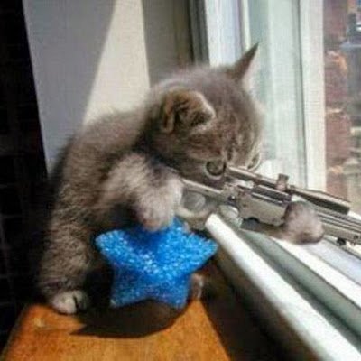 7IGOokB9iL76478's profile picture. 