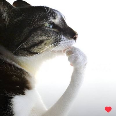 punchlistclub's profile picture. https://t.co/sNunOaJdHy, the ultimate home for discovering and sharing punchlines.

🚧🚧🚧