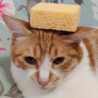 FARTgoblinTech's profile picture. Game Dev | Goblin Lore Enthusiast.
Absolutely not a Goblin.
Chief Mischief Officer at F.A.R.T. Goblin Tech Ltd.