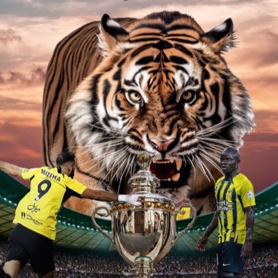 abosalih1488781's profile picture. abosalih