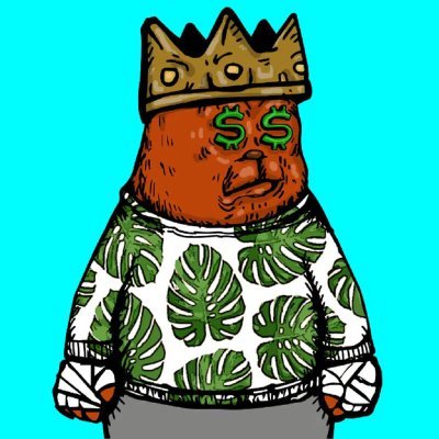 MosissaSenait's profile picture. On Chain Rules