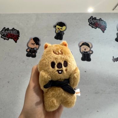 25↑/お取引数100↑/取り引き垢/♡ : stray kids(ハニペン)/取引DMでの返信遅い人は×/基本郵送交換/喫煙してません/日常ツイもします