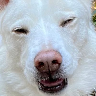 ナベMUさんのプロフィール画像