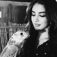 جهيّر. (@3iivi_) Twitter profile photo