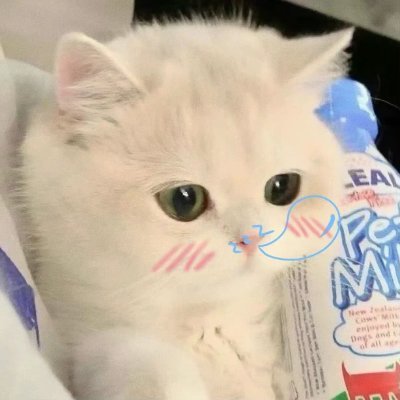 AliceBellabo's profile picture. 