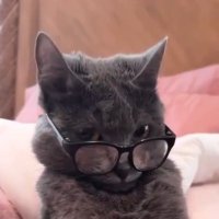 𓆩 madeleine 𓆪 (@eurip1deez) 's Twitter Profile Photo 𓆩 madeleine 𓆪 (@eurip1deez) 's Twitter Profile Photo