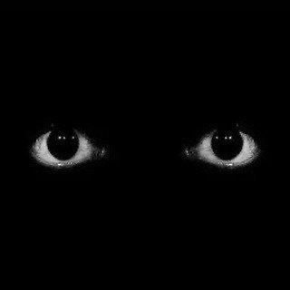 Majesty_I Profile Picture