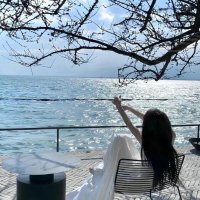 Alice🎀 (@hbgr_oho) 's Twitter Profile
