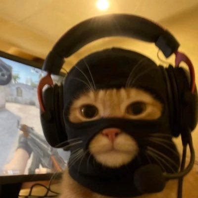 SadnessSports's profile picture. Chicago Sadness Sports. 1. Notre Dame Football☘️ 2. Blackhawks 3. Cubs 4. Bears 5. Bulls