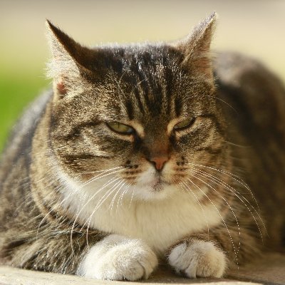 Własność Skarbu Państwa RP🇵🇱
Saszety Z : Skarb Państwa vel Pusty spichlerz, zalęgły się myszy i wyżarły zapasy 🐱👤
Realnie od : ...