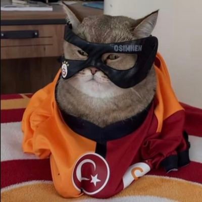 sarpege00's profile picture. .