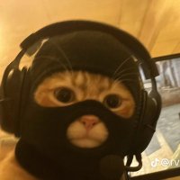 sully (@sullyelh) 's Twitter Profile
