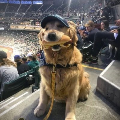 RainAims's profile picture. 20