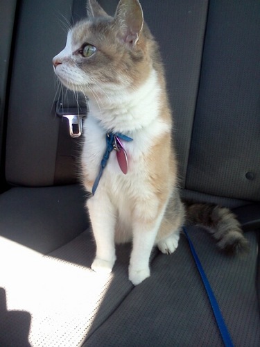 TerriVerhagen's profile picture. 