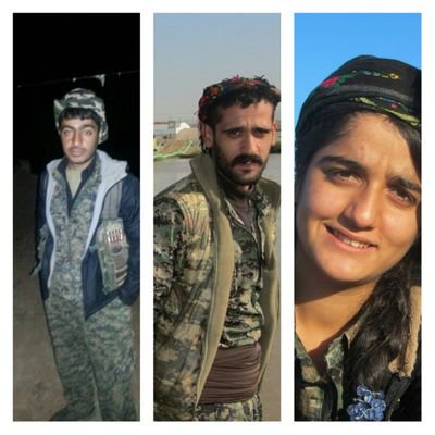 rojbib95665's profile picture. 