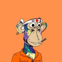 Yala (@yala_sol_) 's Twitter Profile