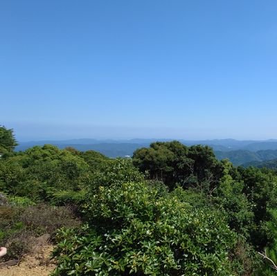 hayabusaCentral's profile picture. 和名：ニンゲン＝ガクセイ・モドキ
飛行機を追っかけて太平洋間を行ったり来たりしてるだけのモドキです。たまに二次元、車と鉄道も追いかけてます。
ゲームは→(放置気味)@Oscalcon_hobby