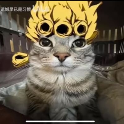 🇨🇳人。日本語とEnglishを学んでる。I love cats.A student majoring in HRM but econometrics、system dynamics、operation research、データサイエンス、環境問題に興味深いのです。敬邻永安,世界和平。