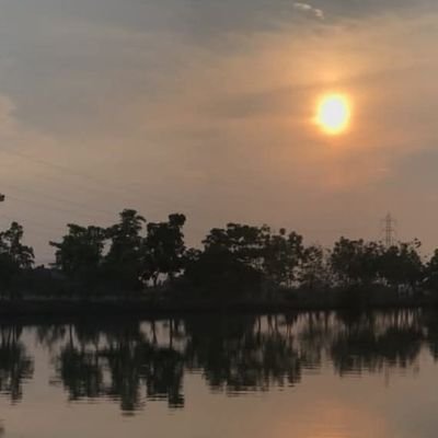 Namtan_jt's profile picture. 