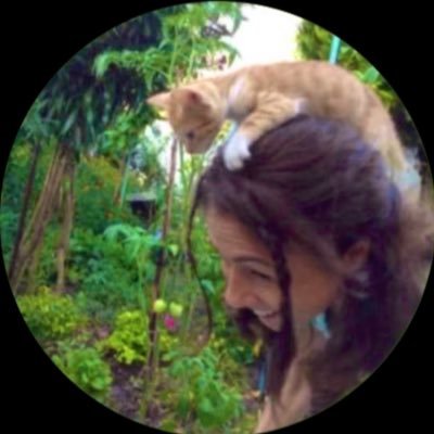 zehrarengizさんのプロフィール画像
