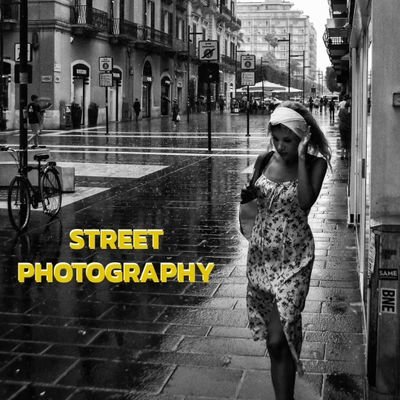 krolphotographe's profile picture. 