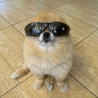 a Viral sensation CA: HtTYHz1Kf3rrQo6AqDLmss7gq5WrkWAaXn3tupUZbonk